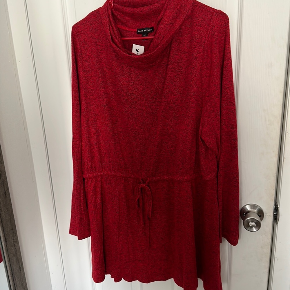 Red Sweater